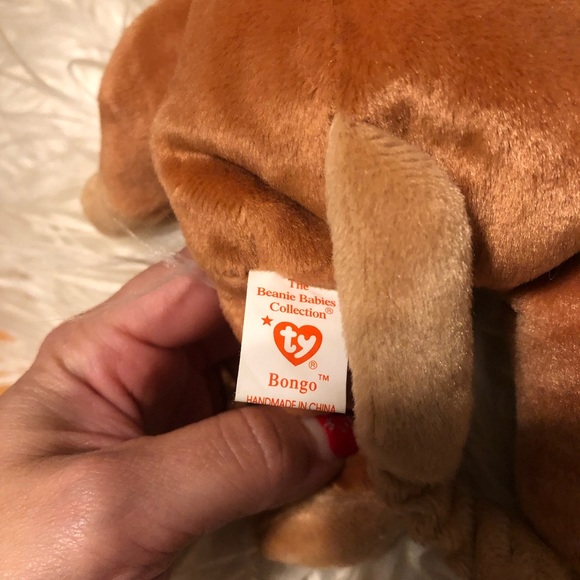 RARE Bongo Ty 1995 Errors, Beanie Babies Mint. Condition - Picture 7 of 10